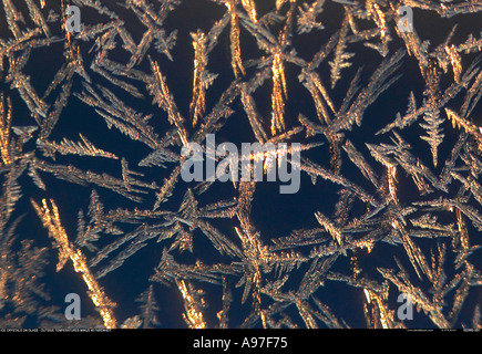 Frost on window with outside temperature of minus 40 degees Farenheit Manitoba Canada Stock Photo