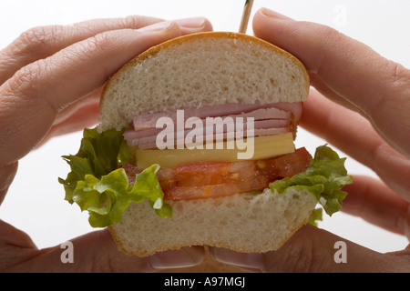 Hands holding ham and cheese sub sandwich FoodCollection Stock Photo