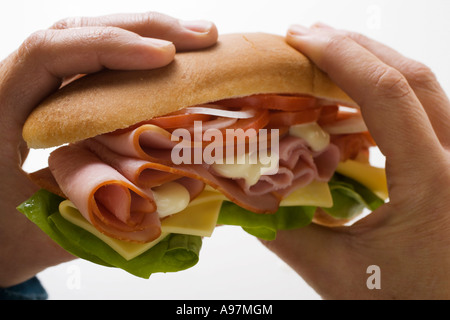 Hands holding ham and cheese sub sandwich FoodCollection Stock Photo