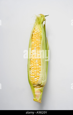 A Corn Cob With Husks Foodcollection Stock Photo - Alamy