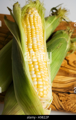 A corn cob with husks FoodCollection Stock Photo - Alamy