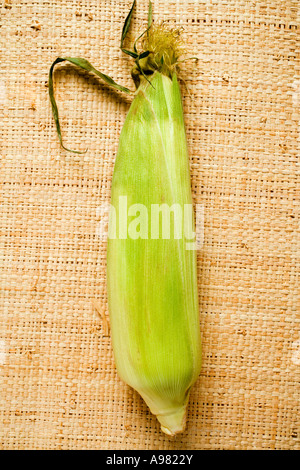 Corn cob with husks FoodCollection Stock Photo - Alamy