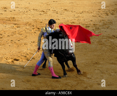 Bullfight in Seville Stock Photo