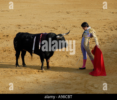 Matador challenging bull in Seville Stock Photo