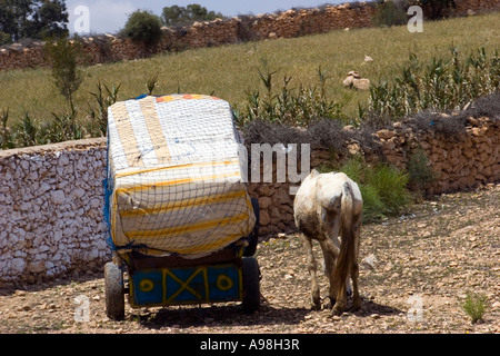 A donkey resting by an old fully loaded cart in Marrakesh Morocco Stock Photo