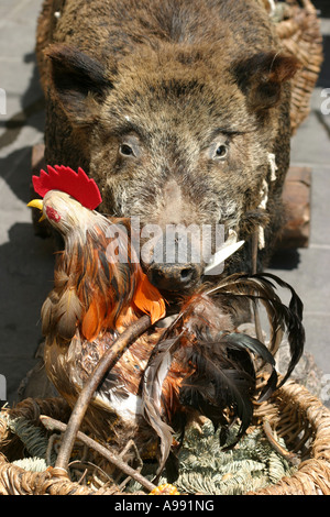 display outside food shop in the gastronomic town of Norcia in Umbria in the Sibillini National Park Italy Stock Photo