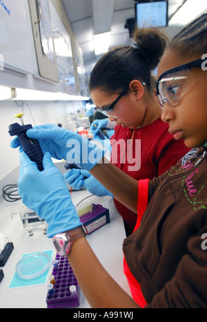 Students work with DNA during a High School Forensics class in Connecticut, USA 2008 Stock Photo