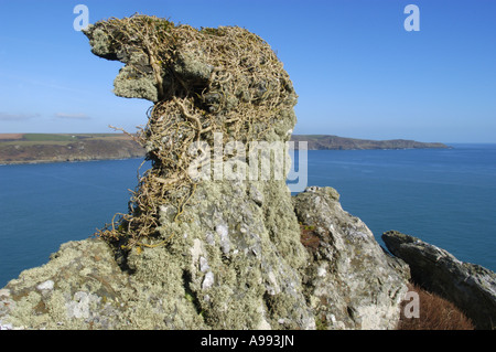 Rock formations in Starehole Bay near Bolt Head on the South West Coast in south Devon England Stock Photo