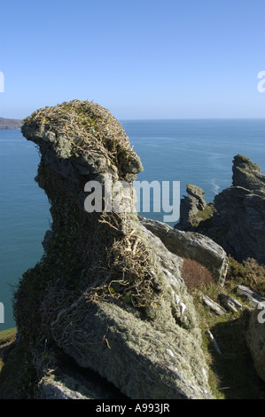 Rock formations in Starehole Bay near Bolt Head on the South West Coast in south Devon England Stock Photo