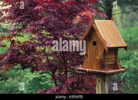 Lathe turned hand-made Cedar birdbox in a garden with fall colored red Japanese maple, Midwest USA Stock Photo