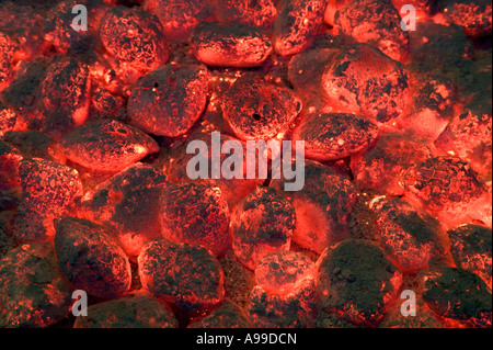 Red hot glowing barbeque coals a taste of summer Stock Photo