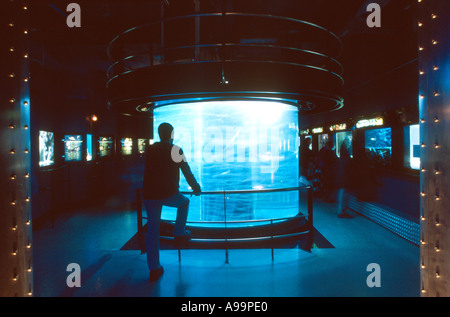 Aquariums in the Oceanographic Museum of Monaco Stock Photo