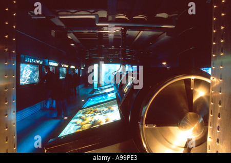 Aquariums in the Oceanographic Museum of Monaco Stock Photo