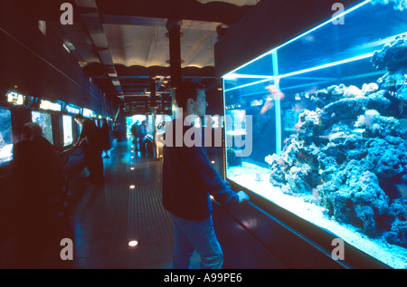 Aquariums in the Oceanographic Museum of Monaco Stock Photo