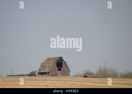 Looking through an old abandoned barn; Old barn on the prairies of Alberta, Canada Stock Photo