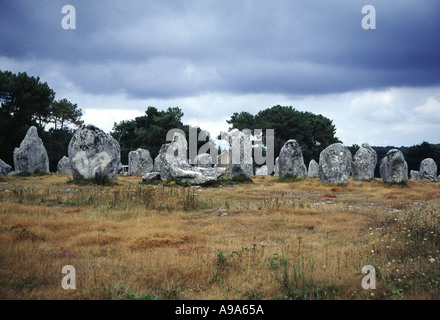 Alignment of standing stones at Carnac in Brittany Stock Photo