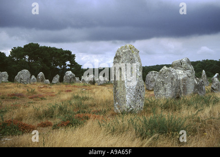 Alignment of standing stones at Carnac in Brittany Stock Photo