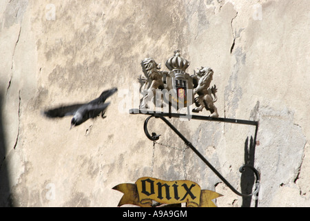 Magpie bird fly to wrought iron sign. Sighisoara April 2007 Romania Stock Photo