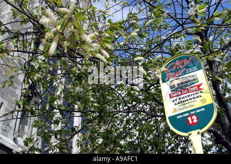 Bus stop sign outside St Patricks Cathedral Dublin Ireland Stock Photo