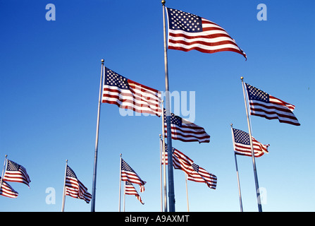 ROWS OF UNITED STATES FLAGS FLYING ON FLAGPOLES WITH BLUE SKY Stock Photo