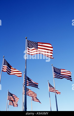 ROWS OF UNITED STATES FLAGS FLYING ON FLAGPOLES WITH BLUE SKY Stock Photo