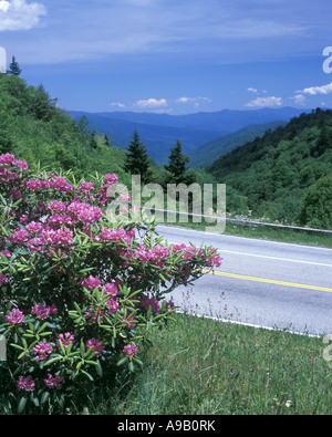 NEWFOUND GAP ROAD GREAT SMOKY MOUNTAINS NATIONAL PARK TENNESSEE USA Stock Photo