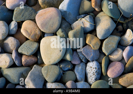 Pebbles on a beach Stock Photo
