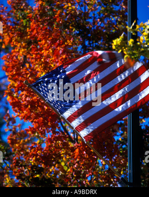 UNITED STATES FLAG FALL FOLIAGE PENNSYLVANIA USA Stock Photo