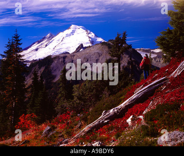 Hiker enjoys the view of towering glacier clad Mount Baker in Northern Washington Stock Photo