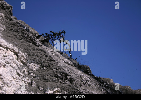 Tanzania, fluid soda lava from Ol Doinyo Lengai volcano Stock Photo