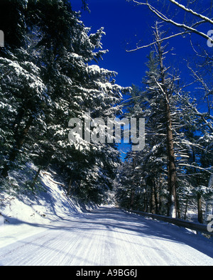 SNOW COVERED ROAD PENNSYLVANIA USA Stock Photo
