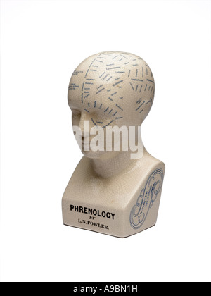 phrenology head Stock Photo