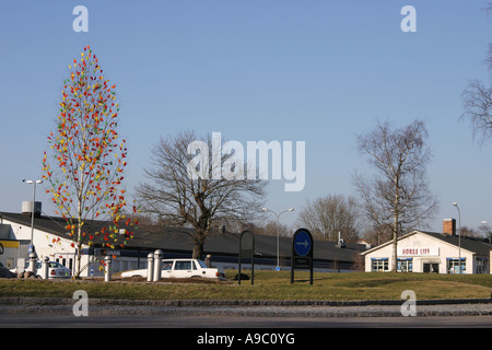 Birch treee with colorful feathers as an easter decoration in a roundabout in Nyköping Sweden Stock Photo