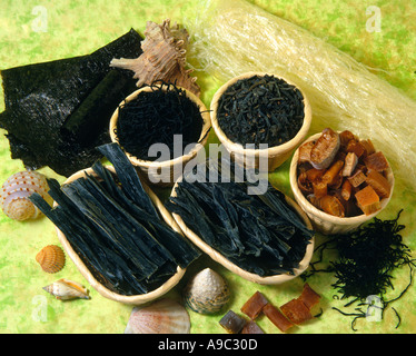 Assorted seaweed Stock Photo