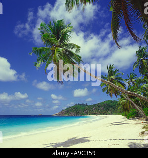 Looking along beautiful curved typical tropical desert island style beach of Anse Intendance Mahe Island The Seychelles Stock Photo