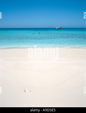 View from a sandbank at the Great Barrier Reef with a dive boat in the distance, near Cairns, Queensland, Australia Stock Photo