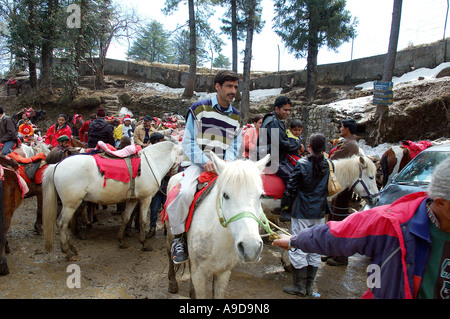 RAJ78121 Tourist enjoying horse riding at Kufri near Shimla Himachal Pradesh India Stock Photo