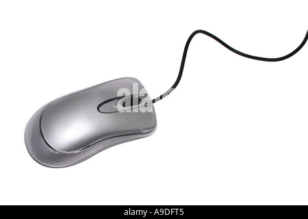 Mouse Stock Photo