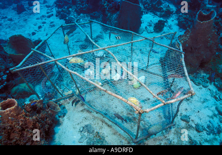 lo6548 FISH TRAP ON CORAL REEF KILLS INDISCRIMINATELY Dominica Caribbean Photo Copyright Brandon Cole Stock Photo