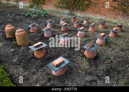 Audley End House near Saffron Walden Essex england. The restored Victorian Greenhouses and cottage gardens. Stock Photo