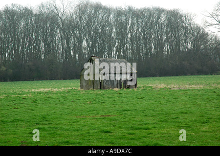 Derelict wooden hut in a green field in Leicestershire Stock Photo