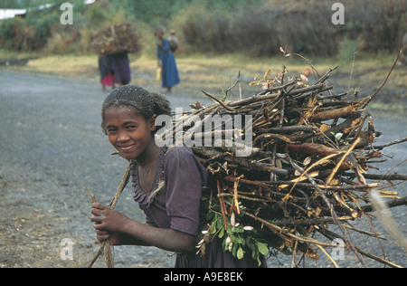 Young woman carries huge bundle of wood on her back Ethiopia Stock Photo