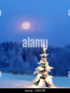 CH - UPPER ENGADIN:  Alpine Christmas Scene Stock Photo