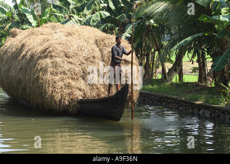 Farmer transports hay on a traditional vallam dugout canoe in the Backwaters near Alappuzha (Alleppey), Kerala, South India Stock Photo