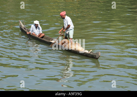 Fisherman at work in a traditional vallam dugout canoe in the Backwaters near Alappuzha (Alleppey), Kerala, South India Stock Photo