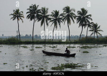 Traditional vallam dugout canoe in the Backwaters near Alappuzha (Alleppey), Kerala, South India Stock Photo
