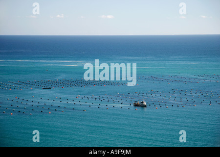 Oyster farm and fishing boats off the coast in Wainui Bay between Golden and Tasman Bay, South Island, New Zealand Stock Photo
