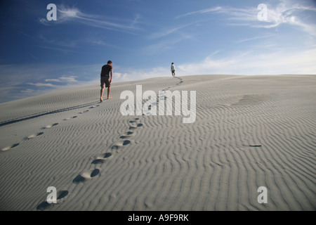Tourists hiking up a huge crescent-shaped sand dune on a guided tour of Farewell Spit, Golden Bay, South Island, New Zealand Stock Photo