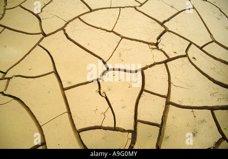 Dried and cracked mud in drypool Stock Photo