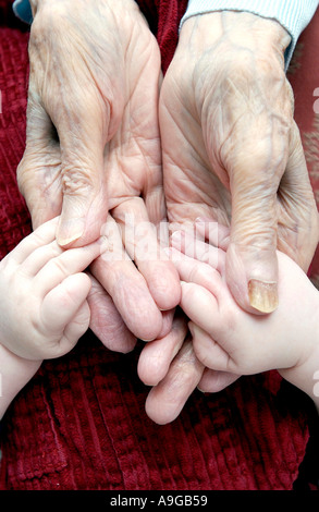 102 year old great grandmother Muriel Fieldus holds baby Alex Molyneux's hands Stock Photo